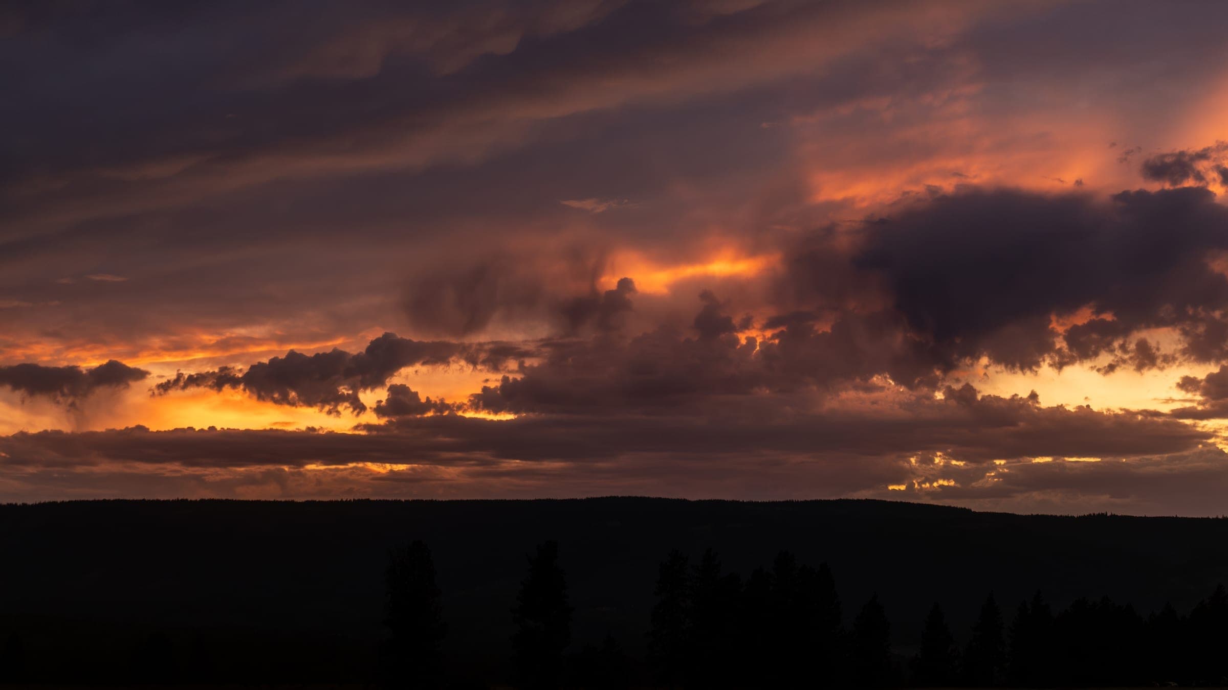 Evening light casting long shadows across the road