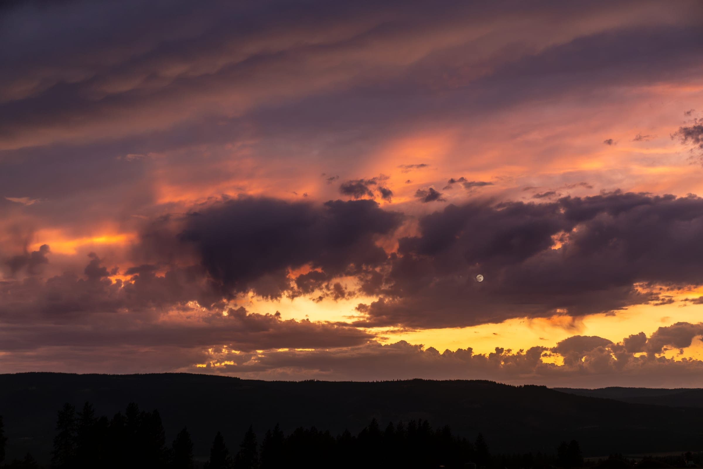 Sunset light on a country road through farmland